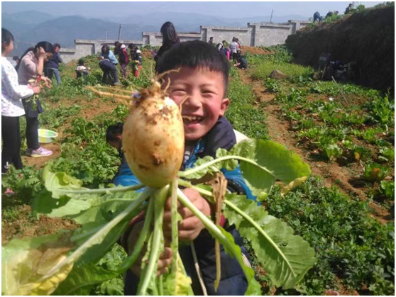 微信图片_20210303153125.png 微信图片_20210303153125.png