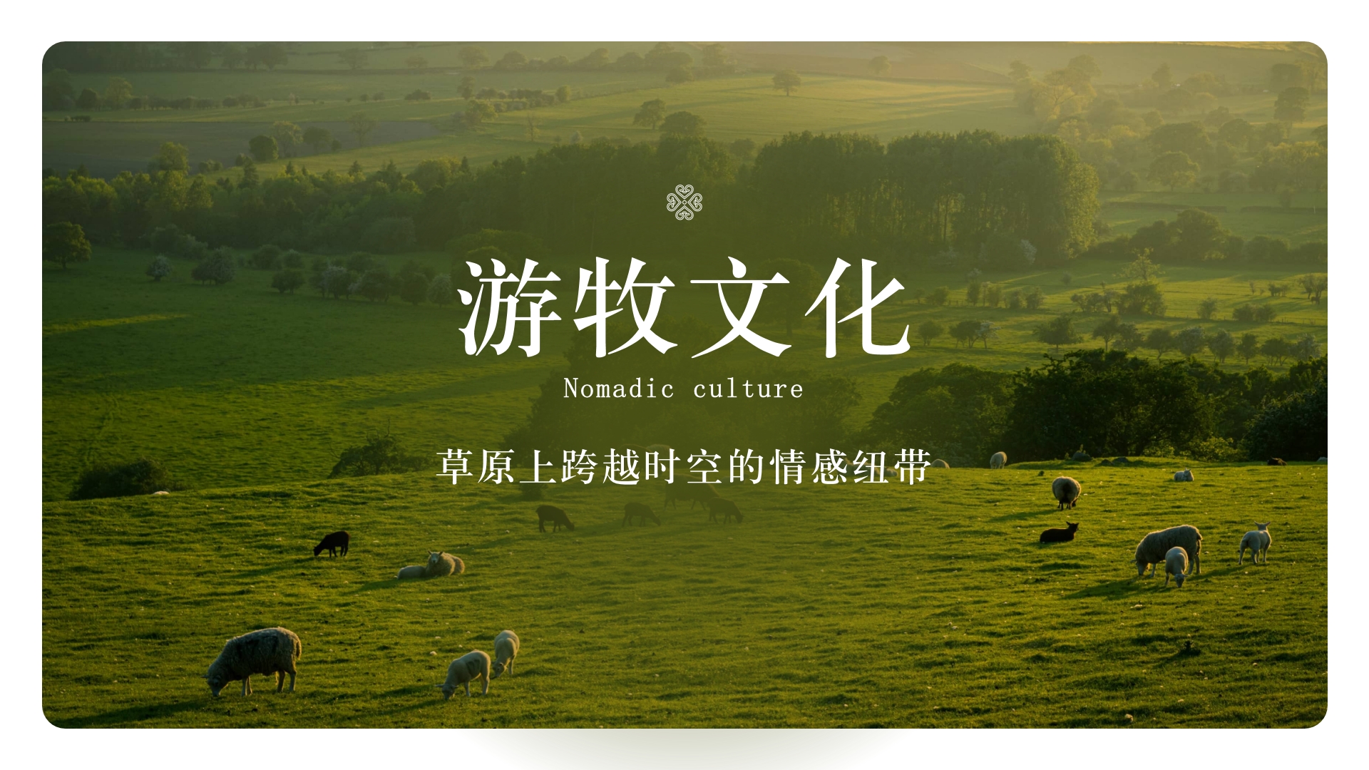 游牧文化：草原上跨越时空的情感纽带