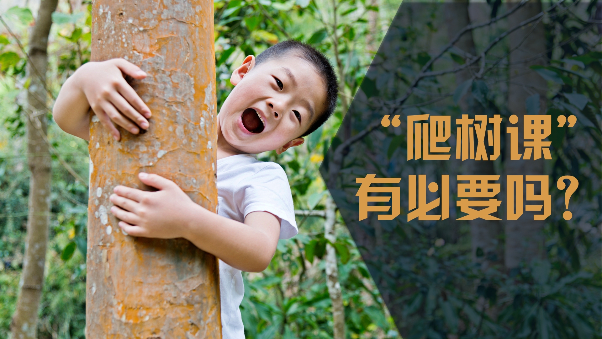 “要让每一位学生都会爬树”，“爬树课”值得推广吗？